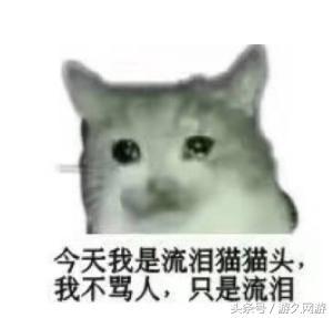带僵尸5000一位包车优惠盘点那些把玩家虐哭但人气爆高的游戏