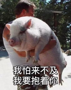 公证与我相伴而行公证员的日常day.2