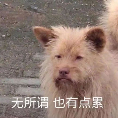 今年千万别染这5种发色