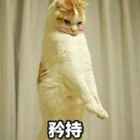 风口圈地,12月份跨境圈的头等大事......