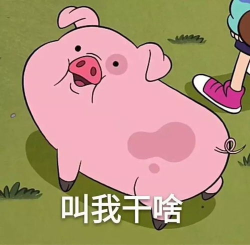 表情动漫次元你说啥这部动画怎么可能是迪士尼出的表情