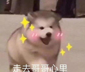 现在的女孩子真的很厉害,一个星期换一个老公