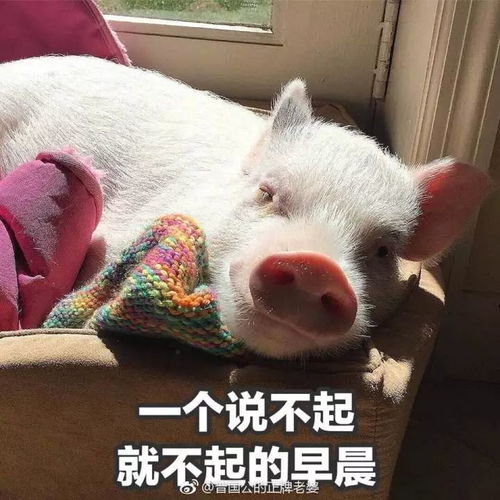 叮您的寒假求生秘籍到了请签收