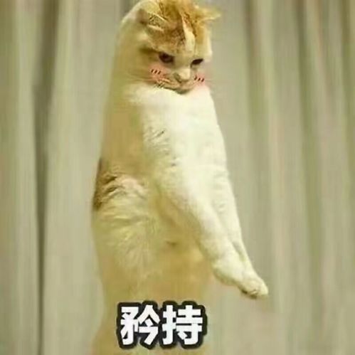 立冬十月节,万物藏