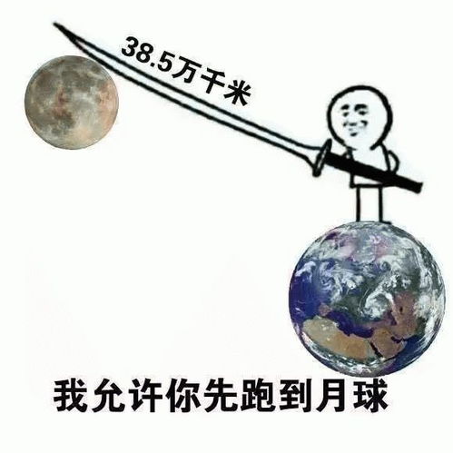 沙雕搞笑表情包