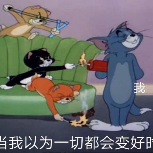 大神们,都有哪些好看的猫和老鼠的表情包