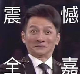 维嘉回应表情包什么意思,维嘉回应表情包是什么梗