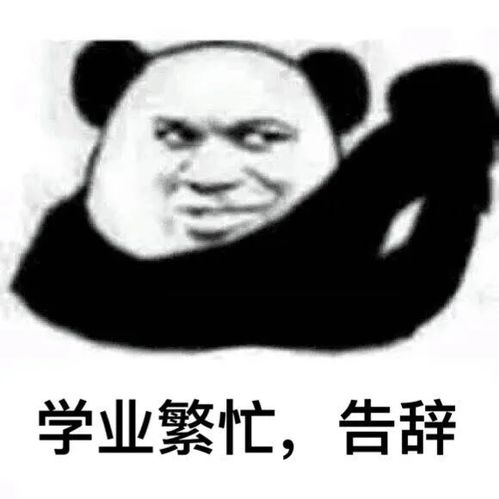 关于学习的表情包别轻易说自己是失败者