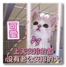 老公永远是对的表情图片老公永远是对的表情包完整版jz5u绿色下载站