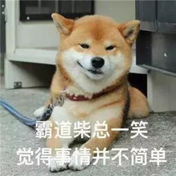 功夫好的都做了这一行随时街斗