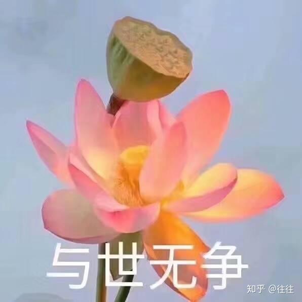 越来越搞不懂了到底什么样算饭圈啊