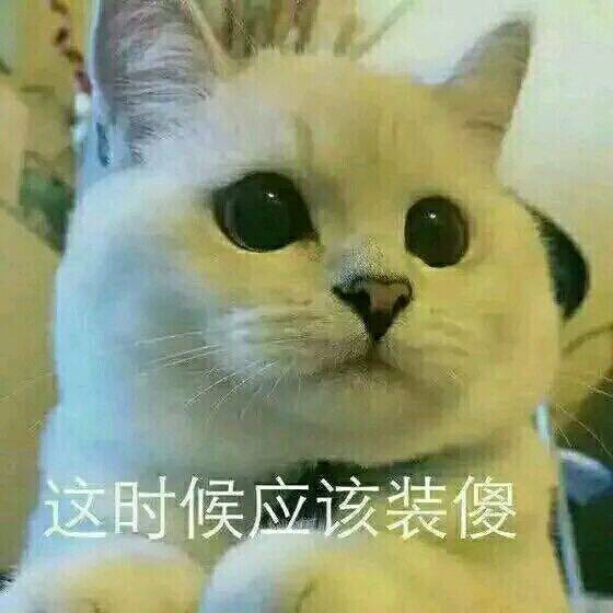 世界上有种亲密叫做上下铺