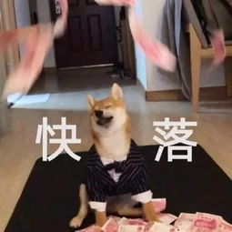 相见恨晚淘宝上这7家原创女装店也太好看了吧