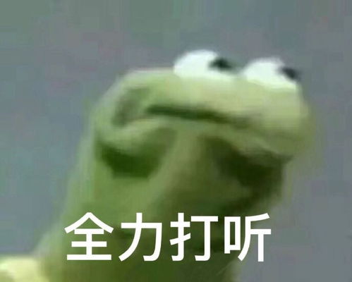 腾讯视频会员有啥好看的