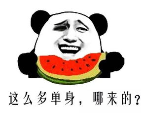 博物馆里为啥那么多单身