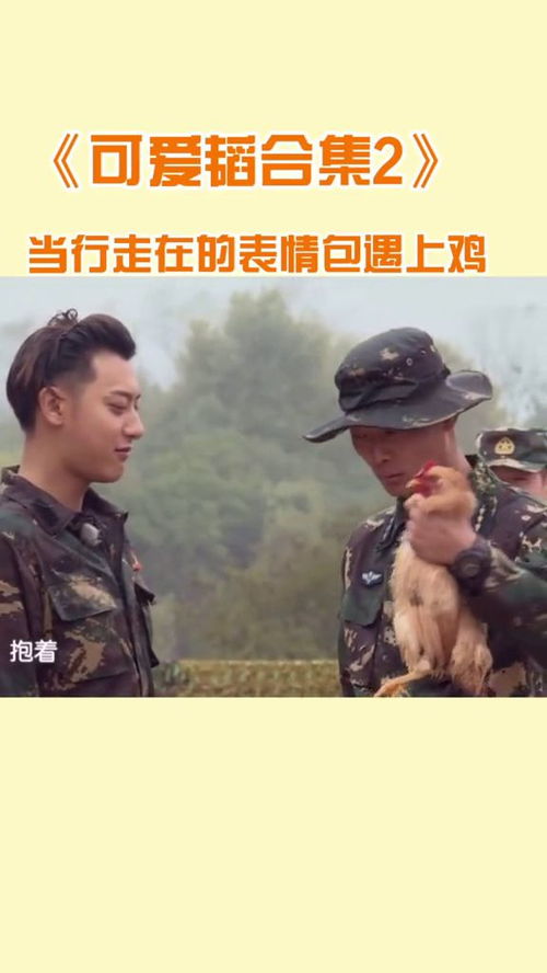 当黄子韬这行走的表情包遇上鸡,教官太坏了,每次看都笑出眼泪