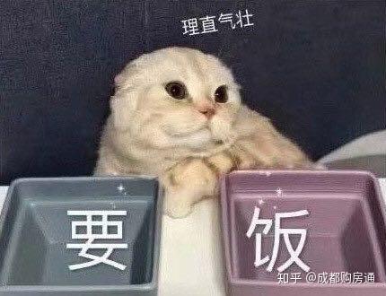 从300万到800万,从高层到合院,哪个楼盘才能叫真正的豪宅