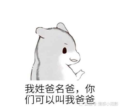 仓鼠表情包老婆,我们回去睡觉觉