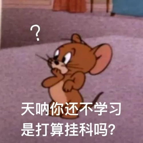 考研人交流必备表情包来袭码