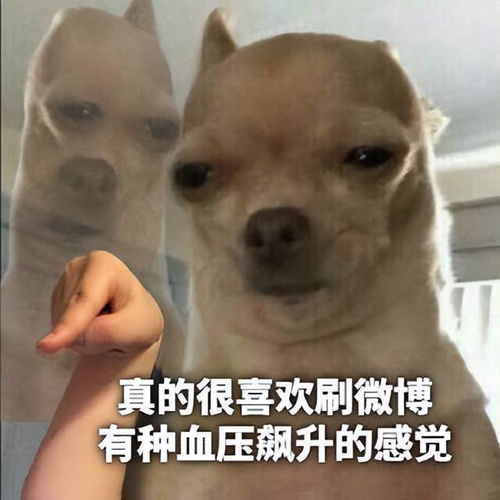 今日份表情包系列我选择相信他