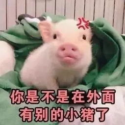 大佬后宫四美2鲜肉被下药强睡,两男为爱大打出手