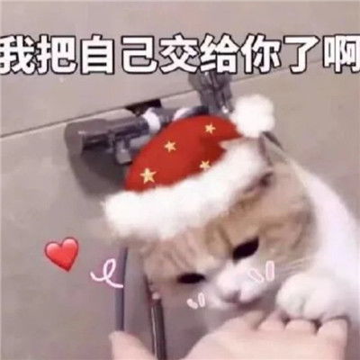 2020最新圣诞节的微信表情包大全2020圣诞节专属的聊天表情