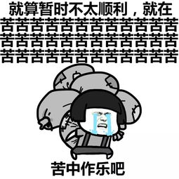 表情丨女生突然频繁发自拍是因为动图甩砖头