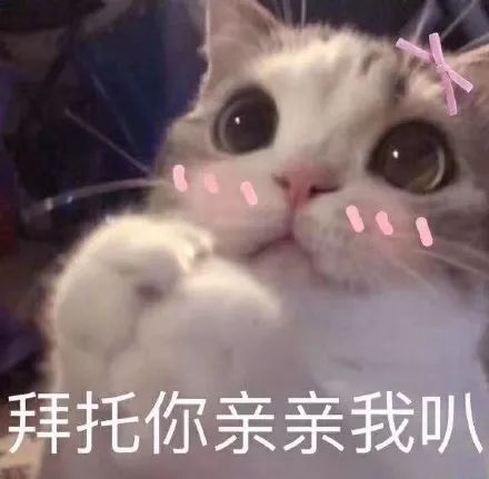 一组对小哥哥发的表情包