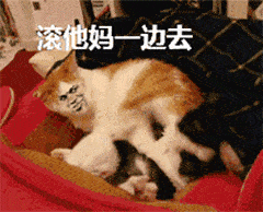 抖音最近热门表情包合集,又萌又可爱