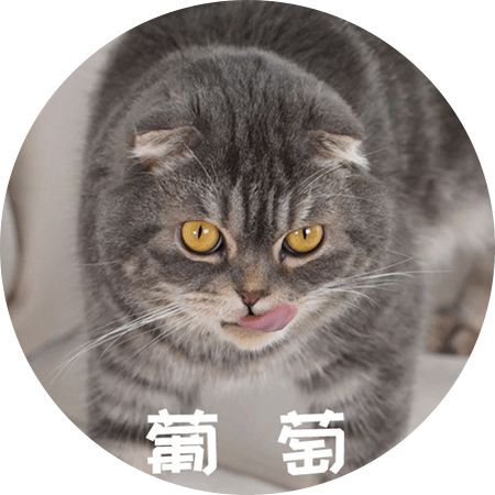说实话,作为猫谷的猫,我真的压力很大啊