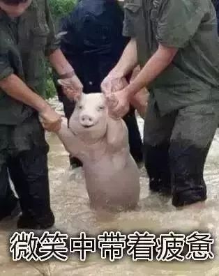 魔咒生娃后她们到底经历了什么,才发展成如今的审美