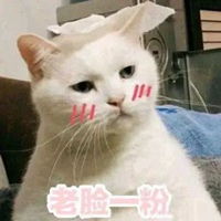 丢人捂脸表情包