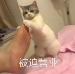 低俗被狠批的椰树,包装却被美学教授称赞为中国式蒙德里安