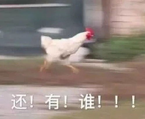 是不是买保险只要用不上就都一定是亏损呢