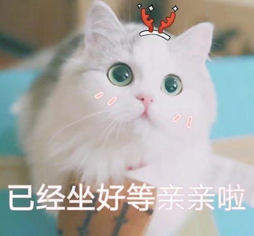 12星座动心瞬间的表现,双鱼座老是傻笑,天秤座好甜呀