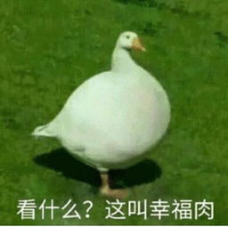 一个军嫂的孕期心情纪录最孤单最坚强的十个月