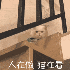聊天搞笑图片生活嘛,笑一笑就好了