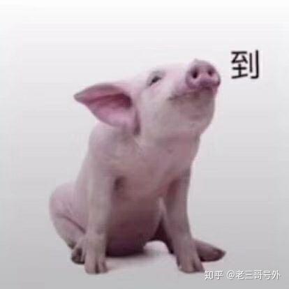 怎么看待30多岁男性还在流水线工厂工作
