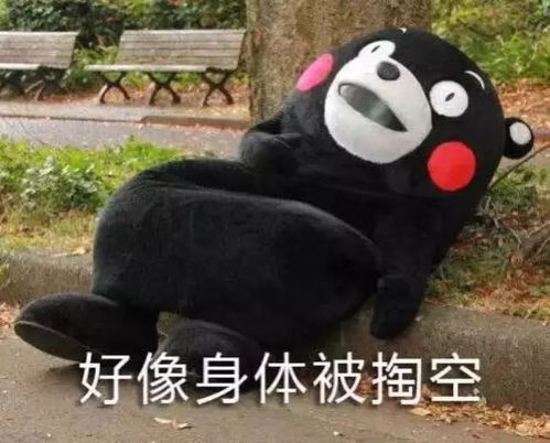 李小璐被扒出花数百万包养倒贴薛之谦,pgone原来是替补