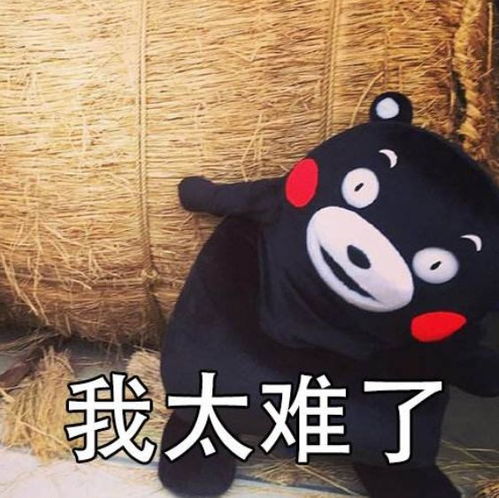 每年都是最难就业季,就怕今年也是最难毕业季dt新材料不仅招人,还送你八重毕业大礼包