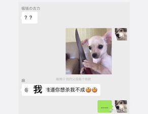 有一种烦恼叫给爸妈发表情,看完这几张图网友崩溃了