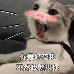 南京牛首山佛顶骨舍利公开瞻礼来了错过等明年还有......