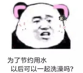 表情包明人不说暗话,我想做你女朋友