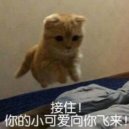 今年最流行穿搭日系风和韩风你偏爱哪一款