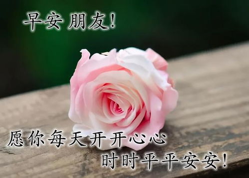 早上好祝福语大全大家早安表情早安语录早上好祝福语