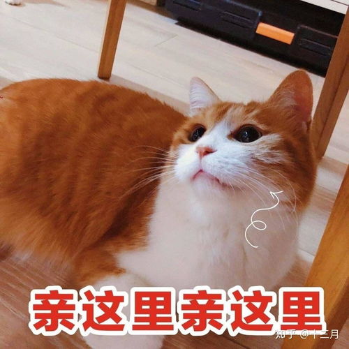 如何正确使用博乐达水杨酸面膜大概要多久才起效