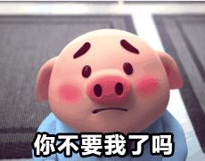 最近很火的猪小屁,快来收表情包没有你就out了