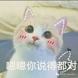 滴您的冷空气到货