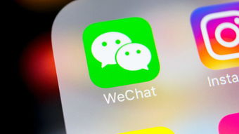 订阅号表情包搜索入口大调整微信内测版抢先体验,千万不要错过