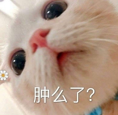 发这些图爱情手到擒来啊丨表情包